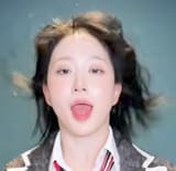 haefugglo (3)