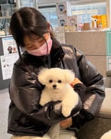 rei puppy