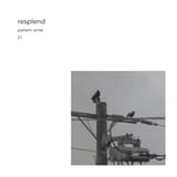 resplend_demo