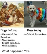 1507833019400
