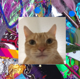 kero cat