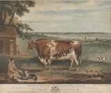 0115fa177f86075f01_ba-obj-21234-0001-pub-large