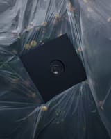 0039870671_10