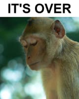 Thread image