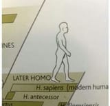 1746332019603794