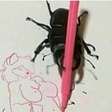 _