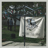 BTD Debut Album - After All
