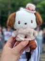 seoyu puppy_thumb.jpg