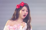 wony299