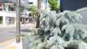 watchv=bSiLFCPG4SY-[00.51.184-00.58.392]_thumb.jpg