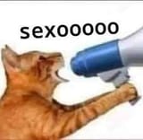 sexooo