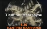 Tlentifini Maarhaysu
