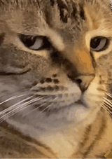 looking-eye-roll