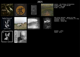 2025sf