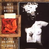 As_the_Flower_Withers_Album_Cover