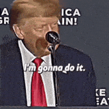 memes-donald-trump-meme