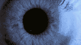 tumblr_lmyudzcuop1qkpjw6o1_500