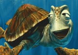crush-the-turtle