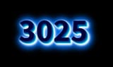 3025
