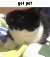 1739098798065503