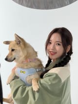 soojin puppy