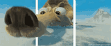 sniff