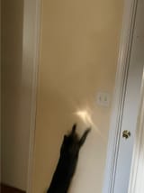 IMG_0757