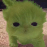 gleeper