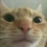 1584534212191