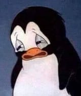 sad penguin aww