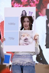 sana hamster