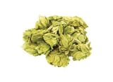 whole hops citra