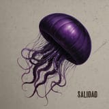 Jelly_Cover