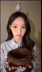 woni pigeon