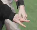 ce5eebdaef8353cc8174104cfbcfd7662f7de65a_thumb.jpg