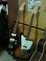 jaguarillo1