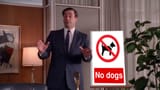 mad men no dogs