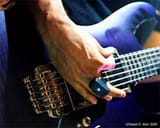 wah for ants