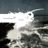 assemblage 23 storm