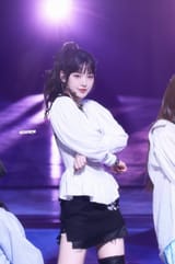 sui(40)