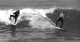immortal-surf-rock