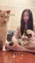 [2025.06.30] 狗巫的毒药～什么都吃只会害了你 [xs]_thumb.jpg