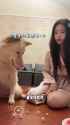 [2025.06.30] 狗巫的毒药～什么都吃只会害了你 [xs]-3_thumb.jpg