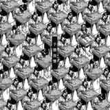 Yoshu_Fukushu_front