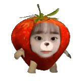 chuu berryrush FASTflip