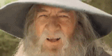 wizard_bop