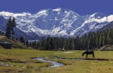 Fairy_Meadows_and_the_view_of_Nanga_Parbat
