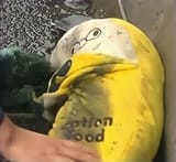 1652009948304