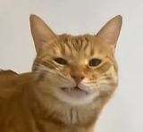 ew