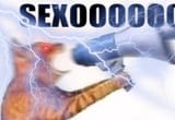 sexooooo